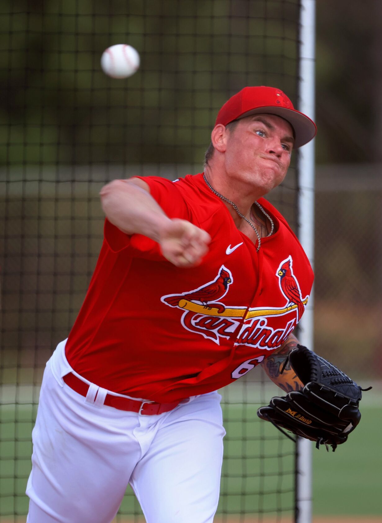 Cardinals minor-league spring training day three in Jupiter